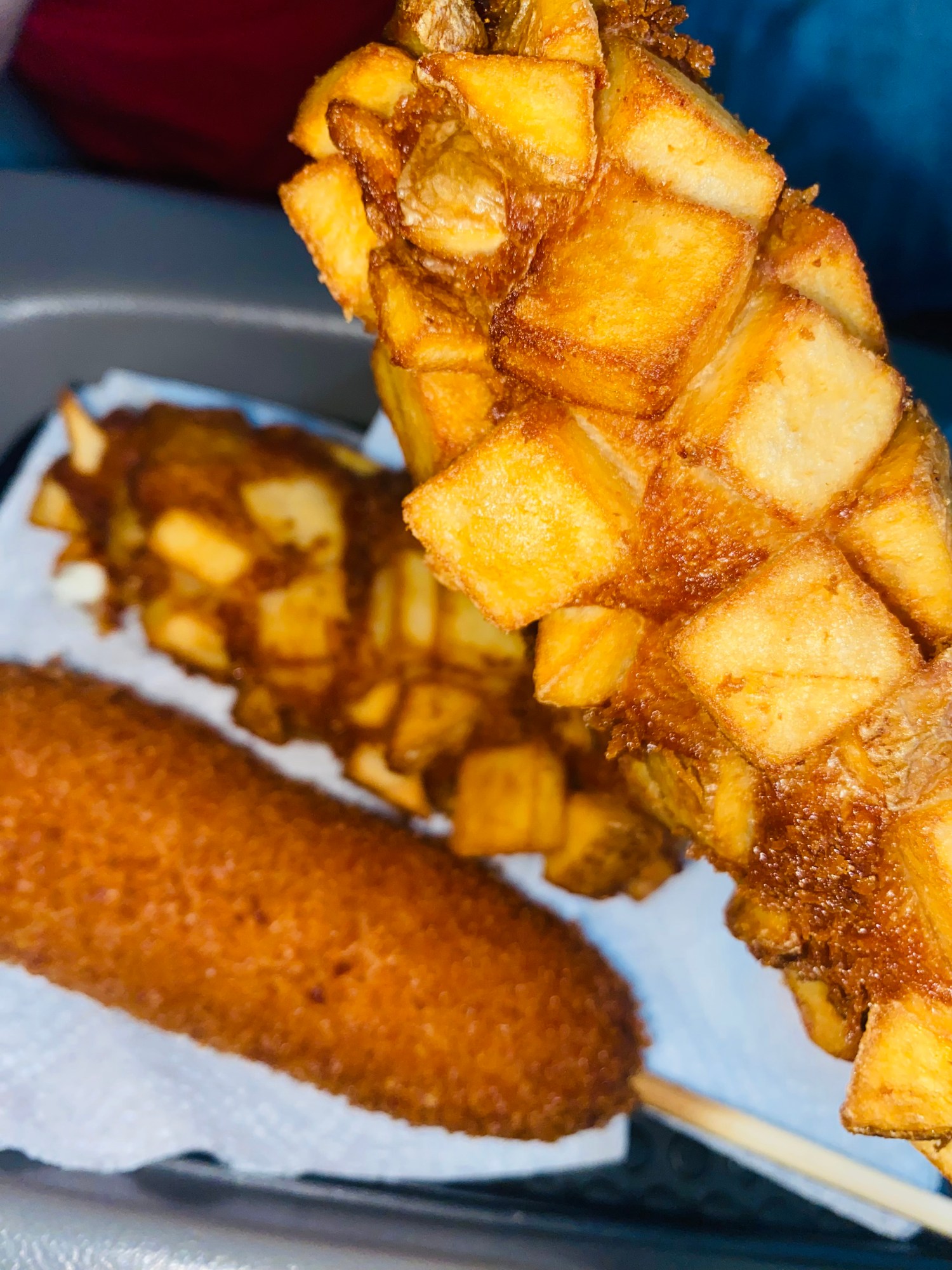 Reseña de OhK dog The Cardinal Post